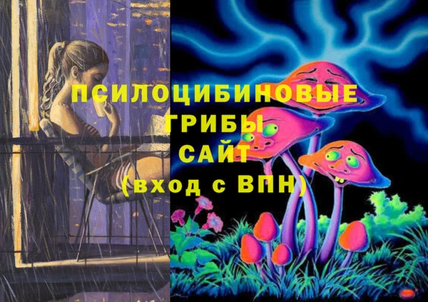 хмурый Абинск