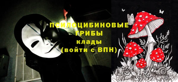 хмурый Абинск